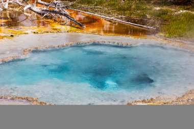 Renkli mineral yatakları ve yemyeşil sularla çevrili mavi sulara çarpan canlı bir kaplıca sergisi. Güneş ışığı Yellowstone Ulusal Parkı 'nın doğal güzelliğini aydınlatıyor..