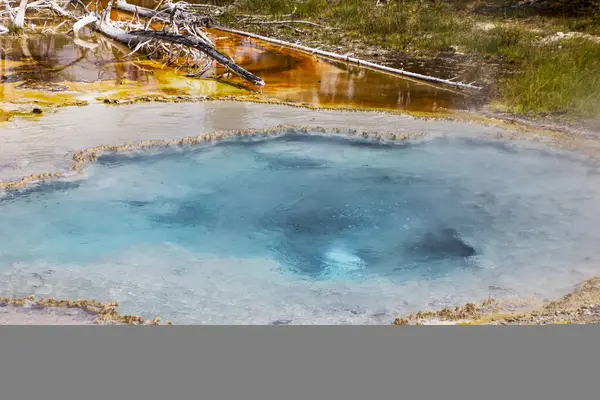 Renkli mineral yatakları ve yemyeşil sularla çevrili mavi sulara çarpan canlı bir kaplıca sergisi. Güneş ışığı Yellowstone Ulusal Parkı 'nın doğal güzelliğini aydınlatıyor..