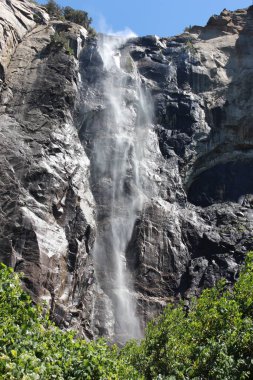 Sersemletici bir şelale dik bir kaya yüzeyinden aşağı akar ve havada bir sis oluştururken parlak güneş ışığı aşağıdaki canlı yeşil yaprakları aydınlatarak doğanın güzelliğinin özünü yakalar..