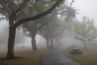 Ziyaretçiler dolambaçlı bir patika boyunca yürürken, sislerle kaplı uzun ağaçların bulunduğu sakin bir park. Piknik masaları sislerin arasında görünür, barışçıl bir atmosfer yaratır..