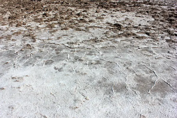 Geniş bir kuru toprak, karmaşık çatlaklar ve beyaz bir tuz tabakası sergiler. Manzara, gün ortası güneşindeki kuraklığı ve sert koşulları yansıtıyor ve net bir görsel karşıtlık oluşturuyor..