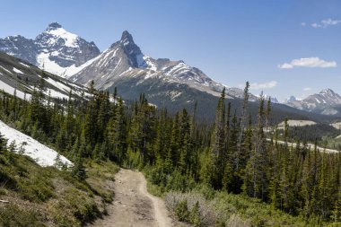 Güneşli bir yaz gününde, açık mavi gökyüzünün altındaki görkemli kar örtülü tepelere uzanan kıvrımlı yeşil ormanda dolambaçlı bir patika yol alır..