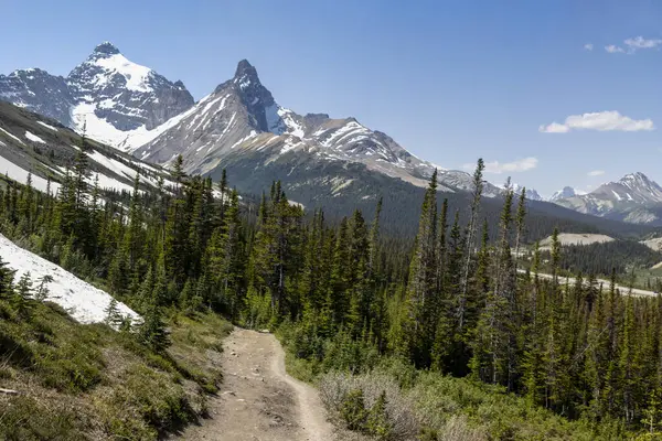 Güneşli bir yaz gününde, açık mavi gökyüzünün altındaki görkemli kar örtülü tepelere uzanan kıvrımlı yeşil ormanda dolambaçlı bir patika yol alır..