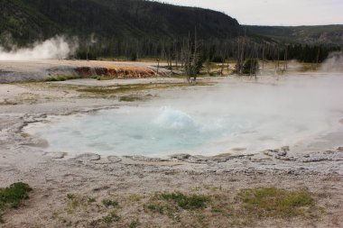 Yellowstone Ulusal Parkı 'nda bir kaplıca kabarcıkları ve püskürmeler buhar yaratarak dünyanın jeotermal aktivitelerini gözler önüne seriyor. Yeşillik ve uzak ağaçlar eşsiz manzarayı çerçeveler..