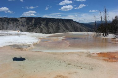 Canlı kaplıcalar ve maden yatakları Yellowstone Ulusal Parkı 'nda çarpıcı bir manzara yaratıyor. Açık mavi gökyüzü, doğal harikalar için mükemmel bir zemin sağlar..