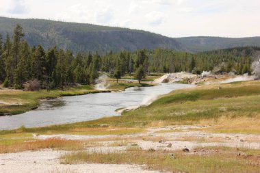Sakin nehir yemyeşil tepeler boyunca akar. Jeotermal özelliklerden yükselen buhar Yellowstone Ulusal Parkı 'ndaki parlak gökyüzünün altında doğanın güzelliğini gözler önüne serer..