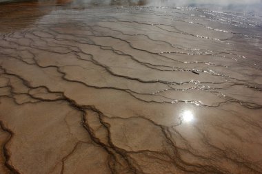 Karmaşık mineral ve su desenleri parlak gün ışığında jeotermal bir alanda büyüleyici bir tasarım oluşturur. Güneş ıslak yüzeylerden yansıyarak renkleri güçlendirir..