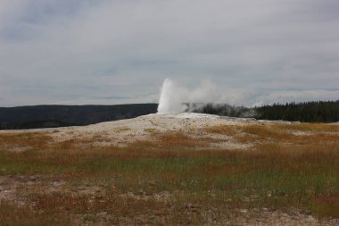 Yellowstone Ulusal Parkı 'nda yeşil çimenler ve uzak dağlarla çevrili eski sadık gayzer püskürdü, açık bir günde doğal güzellikleri gözler önüne serdi..