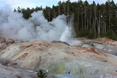 Yüksek ağaçlarla çevrili Yellowstone Ulusal Parkı 'ndaki renkli kaplıcalardan ve gayzerlerden yükselen buhar, sıcak bir yaz gününde doğanın jeotermal aktivitelerini gözler önüne seriyor..