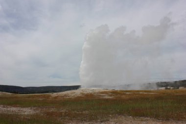 Görkemli bir gayzer güçlü bir şekilde püskürür ve havaya buhar ve su bulutu gönderir..