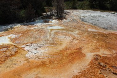 Eşsiz mineral oluşumları bu jeotermal kaplıcada nefes kesici bir manzara yaratır. Renkler ve dokular doğanın çeşitli paletinin güzelliğini vurgular..