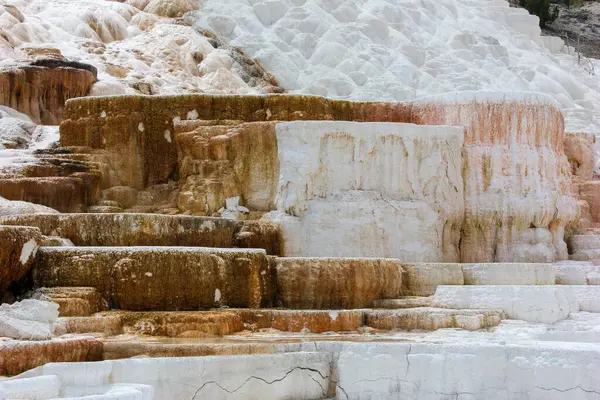Canlı mineral terasları Mammoth Kaplıcaları 'nda çeşitli renk ve dokular sergiliyor. Doğal oluşumlar ziyaretçileri çekiyor ve parktaki jeotermal aktiviteleri vurguluyor..
