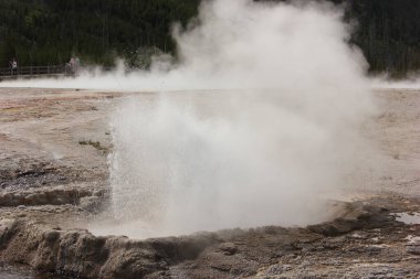 Yellowstone Ulusal Parkı 'ndaki engebeli bir arazide bir gayzer zorla havaya buhar ve su gönderir..