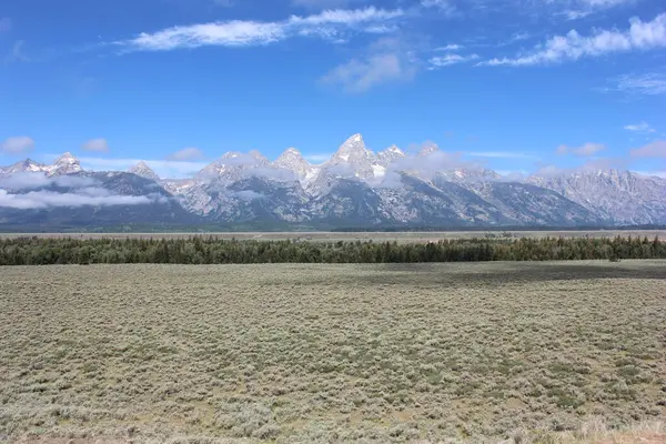 Wyoming 'de geniş bir çalı ovasıyla çevrili yüksek dağ zirveleri ufuk çizgisine hakim. Manzara parlak güneş ışığıyla aydınlanır, doğal güzellikleri sergiler..