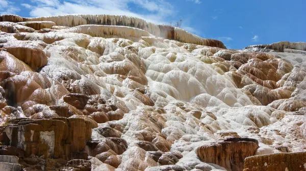 Renkli minerallerden oluşan teraslar, parlak mavi gökyüzüyle çevrili kaplıcalarda çarpıcı bir görüntü oluşturuyor. Su oluşumların üzerinden yavaşça akar, çarpıcı dokuları ve renkleri ortaya çıkarır..