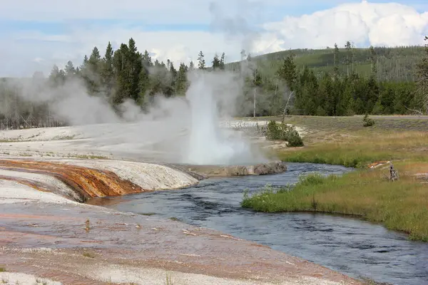 Su, Yellowstone Ulusal Parkı 'ndaki yeşil çimenler ve ağaçlarla çevrili bir nehrin yakınındaki bir gayzerden yükselir. Güneş manzaralı bölgede parlıyor, canlı bir atmosfer yaratıyor..