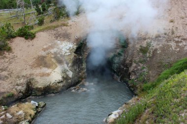 Yerdeki doğal bir açıklıktan gelen jeotermal buhar Yellowstone Ulusal Parkı 'ndaki buharlı bir havuzun yanında yükseliyor. Çevredeki bitki örtüsü çorak alanla çelişiyor.
