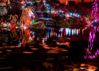 Huzurlu bir bahçe sahnesinde canlı ışıklar küçük bir şelaleyi aydınlatıyor. Su rengarenk parlaklığı yansıtır, gecenin sakin atmosferini güçlendirir..