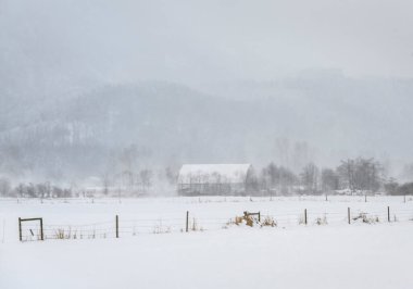 Sakin bir kış manzarasında, beyaz bir tarla ve uzak dağlarla çevrili karla kaplı bir ahır yer alır. Atmosfer sakin ve huzurlu. Yalnızlık hissi uyandırıyor..