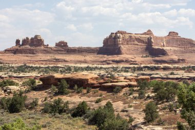 Yüksek kızıl kaya oluşumları, mavi gökyüzünün zeminine karşı görkemli bir şekilde yükselir. Bereketli yeşillik, güneybatının doğal güzelliğini gözler önüne seren kurak çöl arazisiyle çelişiyor..
