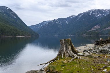Alacakaranlık sırasında sakin göl manzaraları karla kaplı dağları ve yakınlardaki yemyeşil alanları yansıtan sakin bir su yüzeyi sergiliyor. Bir ağaç kütüğü resimsel manzaraya karakter ekler.