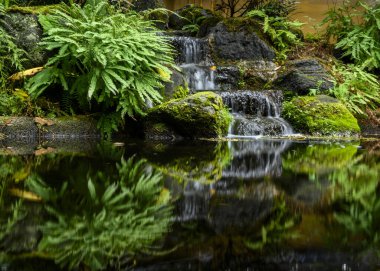 Yumuşak bir şelale yosun kaplı kayaların üzerine dökülür ve aşağıdaki durgun suda dalgalanmalar yaratır. Bereketli yeşil eğrelti otları, sakinleştirme sahnesini çevreleyip bahçenin sükunetini ön plana çıkarıyor..