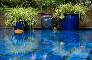 Sakin bir bahçe ortamında, seramik kaplarda seramik yeşilliğin yansımaları mavi fayanslı sergileniyor. Güneş ışığı canlı renkleri vurgular, barışçıl bir atmosfer yaratır..