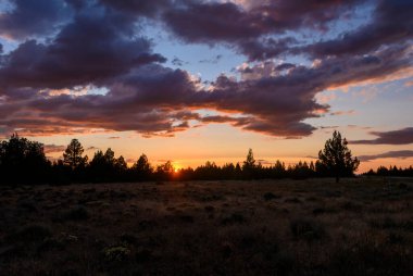 Renkli bir günbatımı huzurlu bir tarlanın üzerinde turuncu ve mor tonlarıyla gökyüzünü boyar. Ağaçlar alacakaranlığın sıcak renklerine karşı siluet içinde duruyor, sakin bir manzara yaratıyor..
