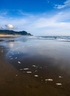 Dalgalar parlak mavi bir gökyüzünün altında kumlu kıyıya hafifçe sarılır. Uzaktan yükselen sahil kayalıkları sakin bir atmosfer yaratıyor. Bu huzurlu sahil manzarası doğanın güzelliğini yansıtıyor..