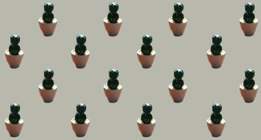 Üst manzara, desen desenli vazo kaktüs çiçekleri tasarım fotoğrafı için gri arka planda izole edilmiş vazo çiçekleri, çiçek yazları, ev bitkileri.