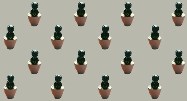 Vue Dessus Pattern Set Vase Cactus Fleurs Isolées Sur Fond — Photo