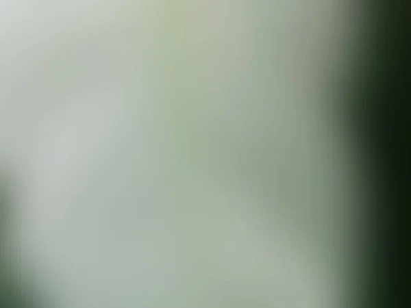 Widok Góry Streszczenie Zamazane Ciemno Malowane Światło Czysty Czarny Zielony — Zdjęcie stockowe
