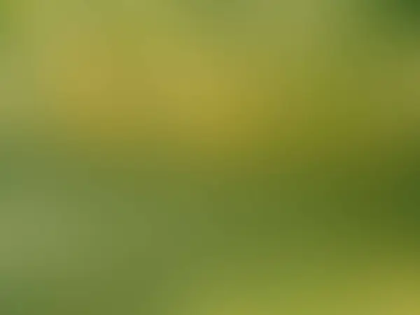 Draufsicht Abstrakte Unscharfe Dunkel Lackierte Hellgrüne Gelbe Textur Hintergrund Für — Stockfoto