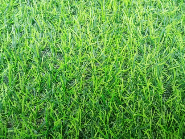 Üst Veiw Soyut Bulanık Yapay Çim Yeşil Çimenlik Tasarım Için — Stok fotoğraf