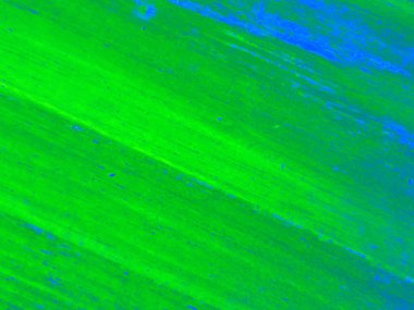 Üst görünüm, soyut bulanık çizgiler, grafik tasarımı için saf yeşil mavi renkli doku arkaplanı. Duvar kağıdı, illüstrasyon, kart, ışık, gradyan arkaplan