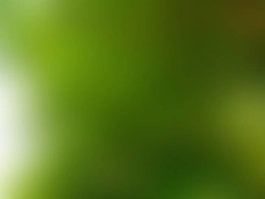 Üst görünüm, bulanık koyu yeşil renkli arkaplan web sitesi veya grafik sanat tasarımı ögesi için. grunge duvar, gradyan arkaplan, hız çizgisi, duvar kağıdı, illüstrasyon,