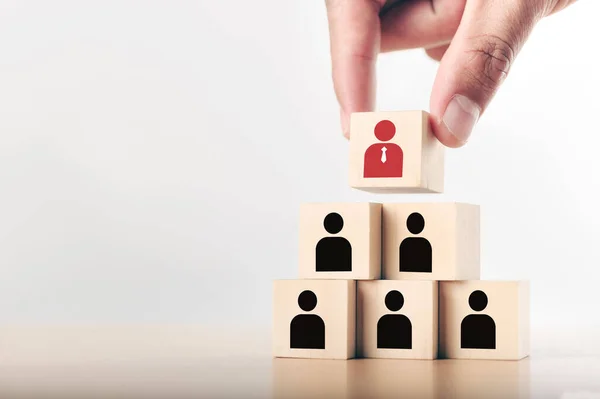İnsan kaynakları yönetimi ve işe alım işi konsepti, kopyalama alanı. Tahta küpü piramidin tepesine koymak ve yönetim konsepti liderliği.