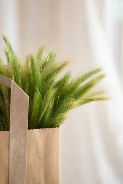 stock image green grass in a gift bag 