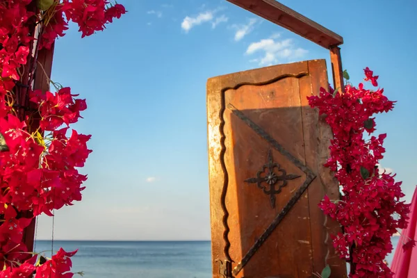 Деревянная Открытая Дверь Ведущая Морю Украшенная Розовыми Цветами Лицензионные Стоковые Фото