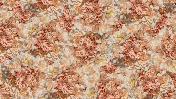 Mönster Pastell Rosa Blommor — Stockfoto