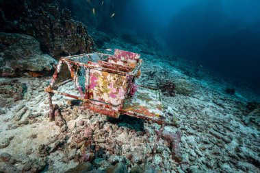 Measuring coral larvae growth tool placed in the sea. Coral reef restoration and ocean ecosystem conservation.