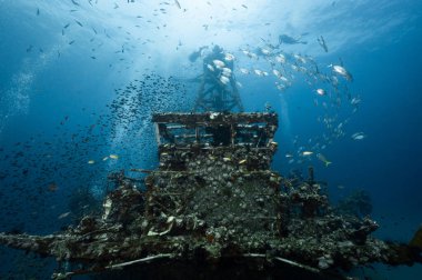 Chang 'in balık ve dalgıçlarla dolu bir gemi enkazının sualtı görüntüsü. İkinci Dünya Savaşı sırasında Amerikan Donanması için inşa edilen gemi. Trat, Tayland 'da Koh Chang yakınlarında bir tüplü dalış alanı..