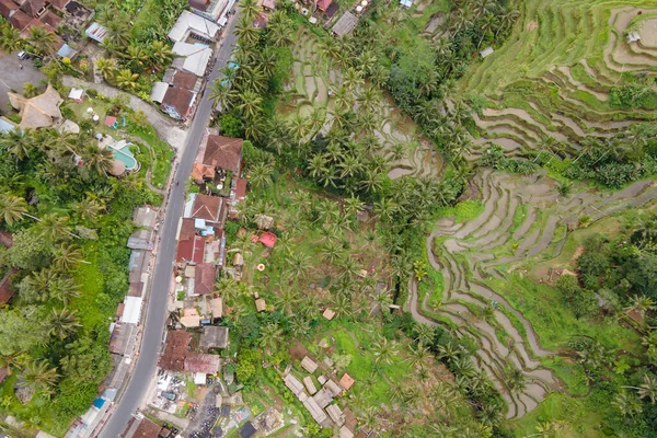 Luftaufnahme Eines Balinesischen Dorfes Auf Der Reisterrasse Tegallalang Ubud Bali — Stockfoto