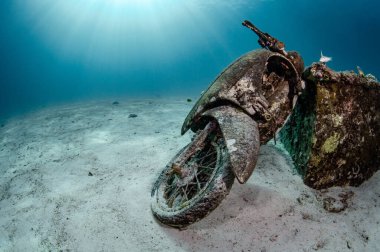 Racha Yai Adası, 1. rıhtımdaki berrak mavi suda kaza yapan motosiklet ya da motosiklet. Phuket, Tayland 'daki Andaman Denizi' nin popüler dalış alanlarından biri. Tüplü dalış için egzotik sualtı sahnesi