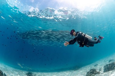 Sualtı dalışı. Tayland 'ın Phuket kentindeki Andaman Denizi' nin en güzel dalış alanlarından biri olan Racha adasında, kristal berrak mavi sularda yüzen erkek dalgıç..