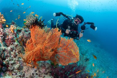 Tayland 'daki Similan Ulusal Parkı' nda Gorgonya Deniz Hayranı mercanlarıyla poz veren bir sualtı kamerası tutan erkek dalgıç. Güzel mercan resifi ve Andaman Denizi 'nin büyüleyici sualtı manzarası.