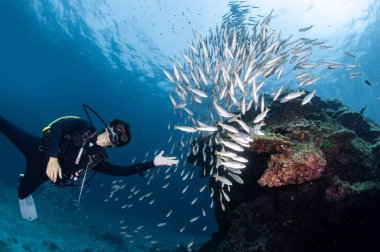 Tayland, Phuket 'te popüler bir dalış alanı olan Racha Adası' nda bir balık sürüsüyle erkek dalış. Andaman Denizi 'nde sualtı dünyası deneyimi.