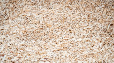 Ahşap atölyesinde yere saçılmış talaş yığını. Planlama ve testere kerestesinden tahta tozu. Ahşap atığı. kereste endüstrisi geçmişi