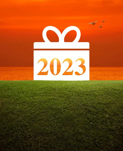 Caja Regalo Feliz Año Nuevo 2023 Icono Plano Campo Hierba — Foto de Stock