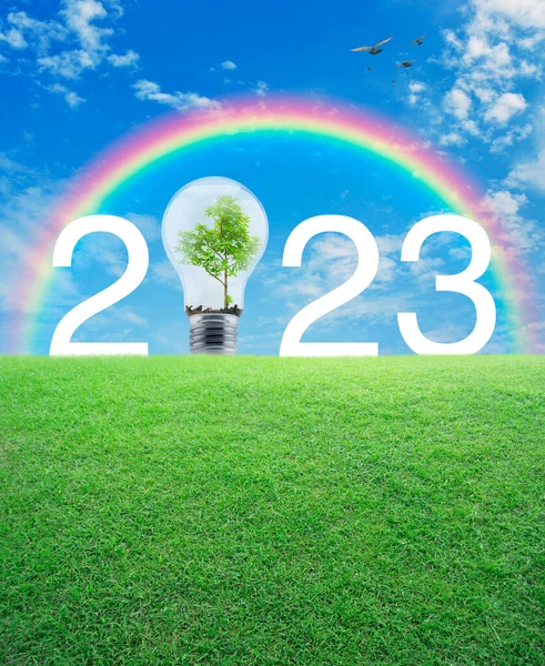 2023 Weißer Text Und Glühbirne Mit Baum Drinnen Auf Grünem — Stockfoto